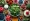 10 Low-Calorie Density Foods List for Healthy Snacking