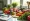 Compare Weight Loss Injections: Semaglutide, Tirzepatide, Liraglutide