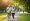 Comparing Weight Loss Programs for Seniors and Traditional Diets