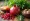 What Hormones Reduce Inflammation and Why They Matter