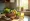 4 Natural Hormone Replacement Supplements for Balanced Health