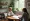 Understanding Functional Medicine for Autoimmune Disorders