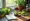 What Is Natural Ozempic? Understanding Its Benefits and Origins