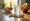 Evaluate Supplements to Prevent Leg Cramps: A Comparative Analysis