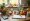 Find Affordable Weight Loss Medication Without Insurance: A Step-by-Step Approach