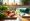 4 Effective Slimming Solutions for Lasting Weight Management