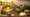 Compare Weight Loss: Plant-Based vs. Traditional Diets